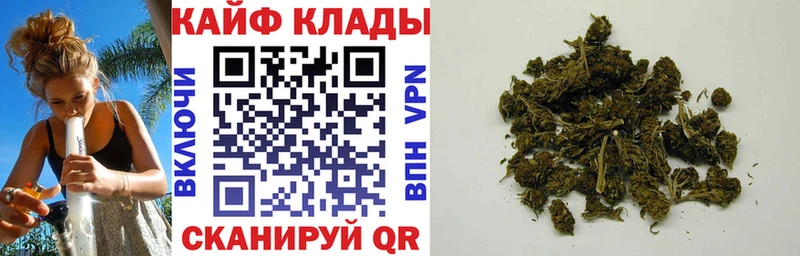 Где купить наркотики Новотроицк APVP Кокаин Псилоцибиновые грибы Марихуана Гашиш Меф мяу мяу АМФЕТАМИН