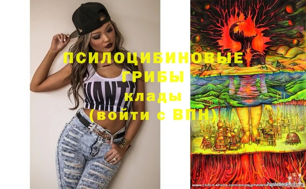 мдпв Осинники