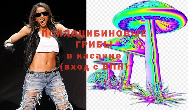 прущая мука Осташков