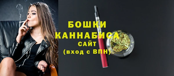 мдпв Осинники