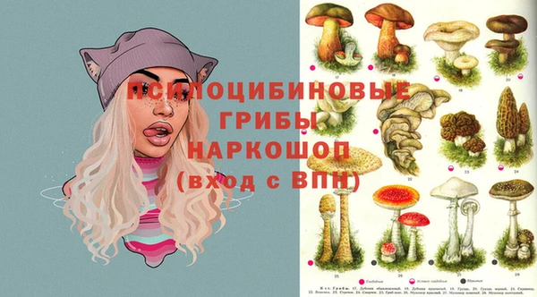 прущая мука Осташков