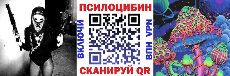 Псилоцибиновые грибы мицелий  площадка какой сайт  Новотроицк 