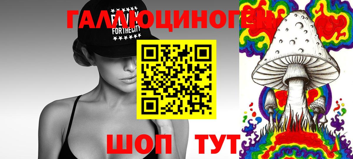 Галлюциногенные грибы Magic Shrooms  Вход с VPN  Новотроицк  Псилоцибиновые грибы GOLDEN TEACHER 